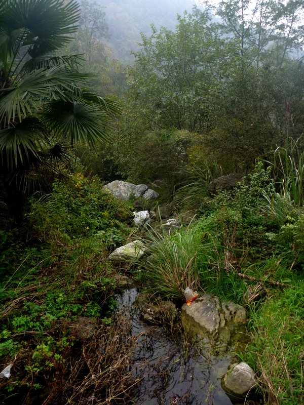p1090409_.jpg