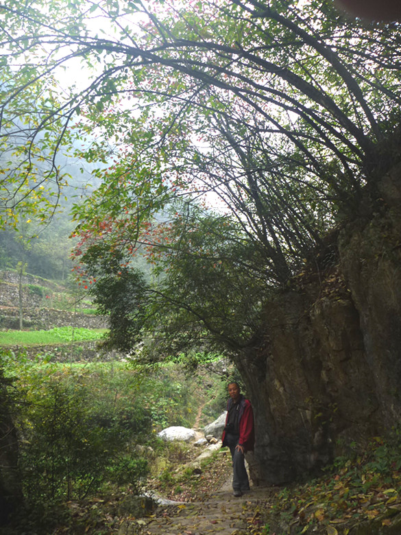 p1090416_.jpg
