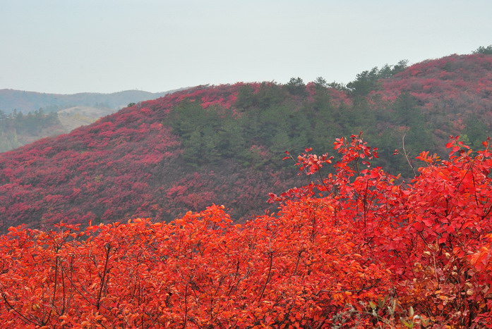 dsc_0501_С.jpg