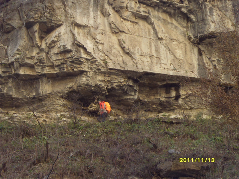 sdc13154_.jpg