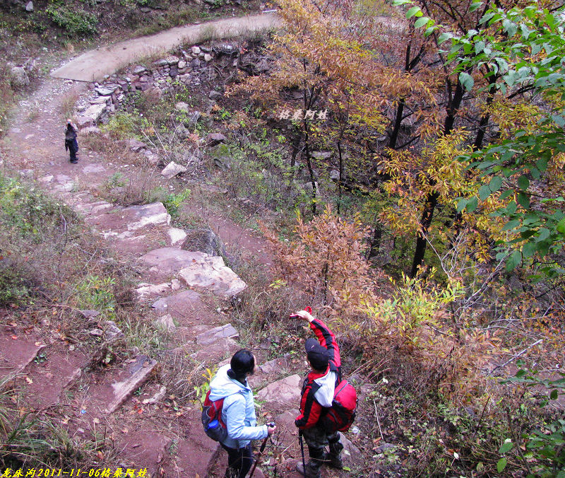 2011ʯҴϿ 1623-1.jpg