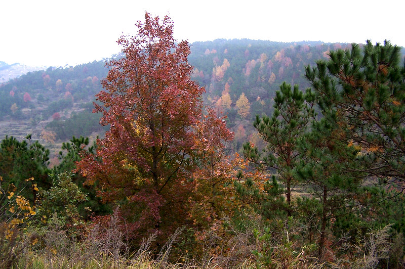 100_9389.jpg