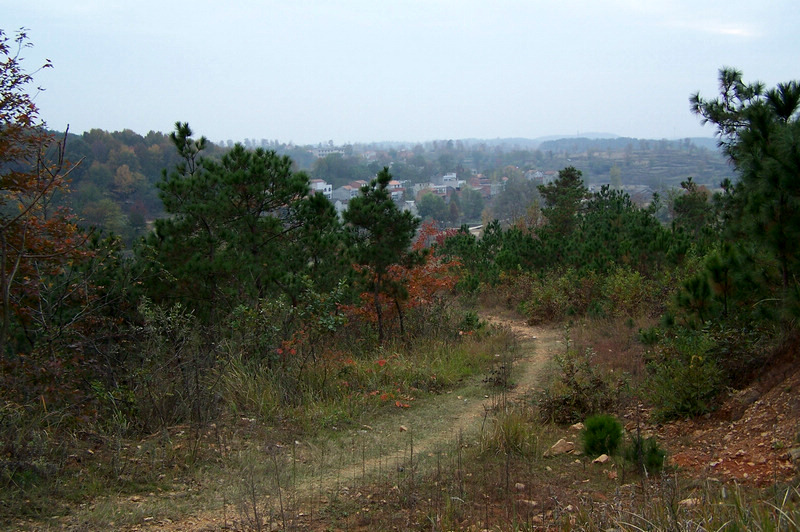 100_9391.jpg