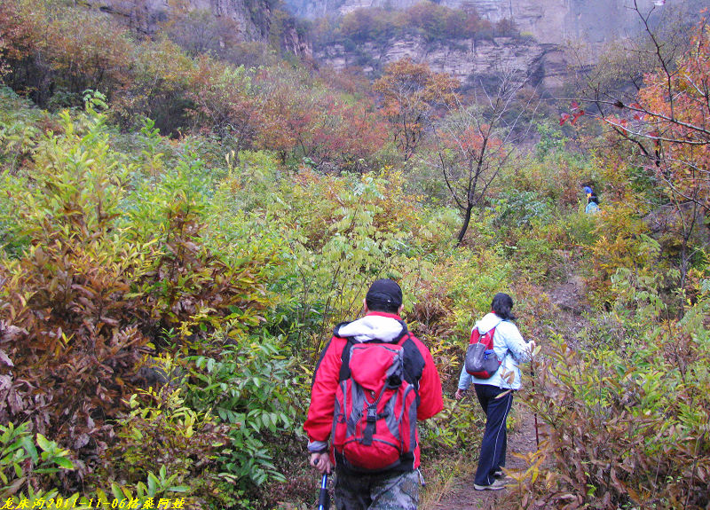 2011ʯҴϿ 1535-1.jpg