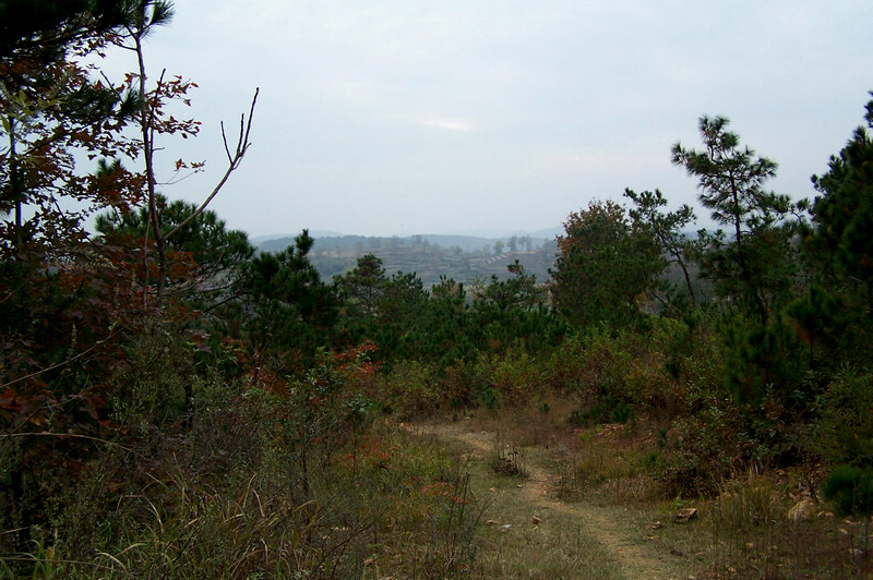 100_9392.jpg