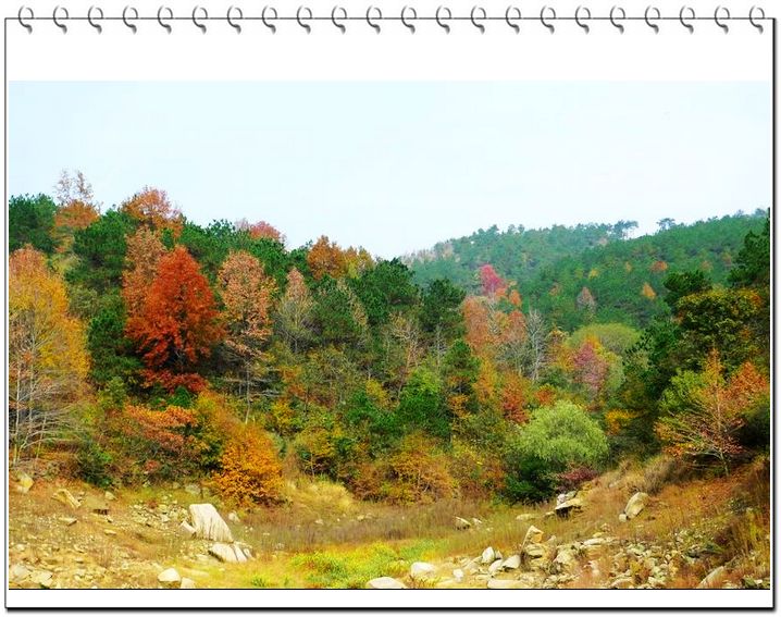 201111131931498744.jpg