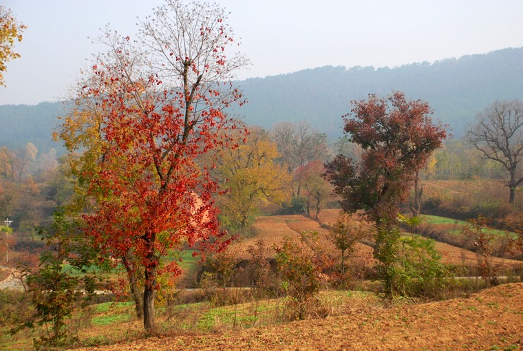 dsc_0121.jpg