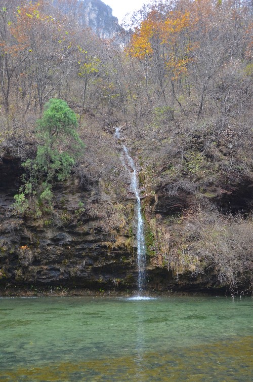 dsc_6597_.jpg