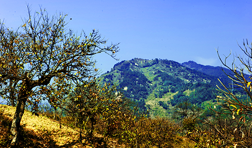 _dsc8120a.jpg