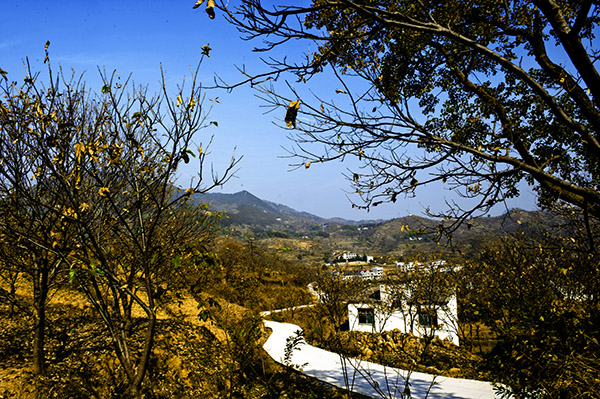 _dsc8122a.jpg