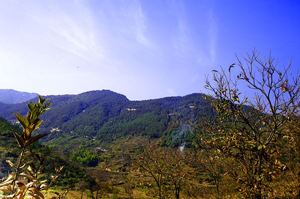 _dsc8124a.jpg