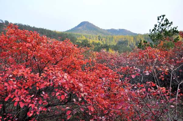 dsc_0041.jpg