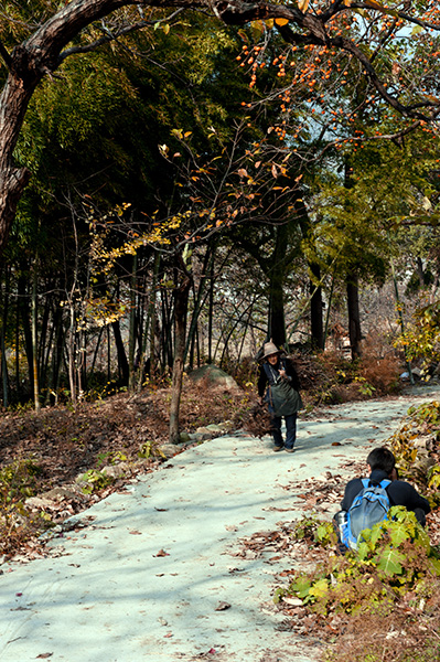 _dsc8176a.jpg