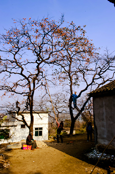 _dsc8185a.jpg