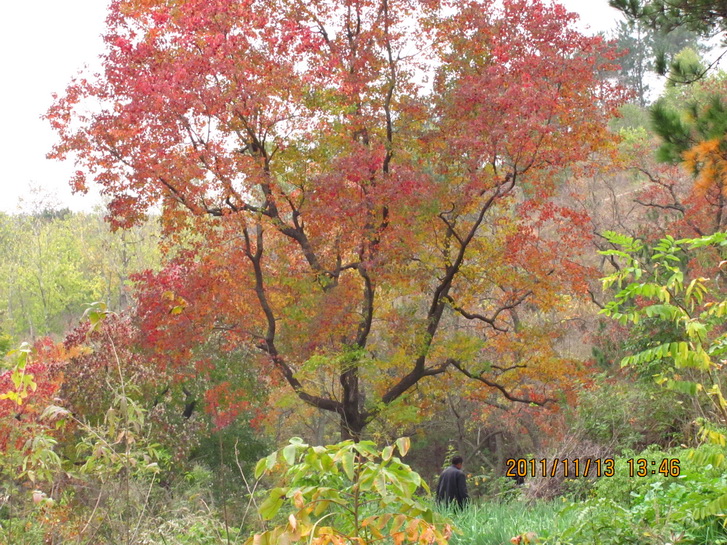 img_4907.jpg
