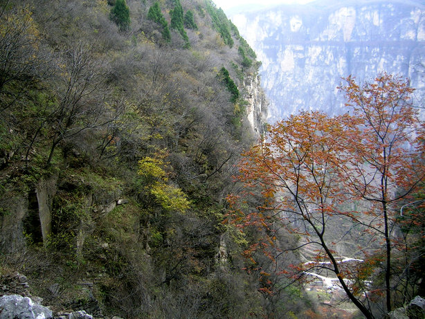 54.jpg