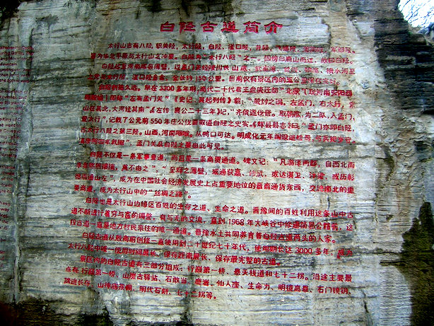 65.jpg