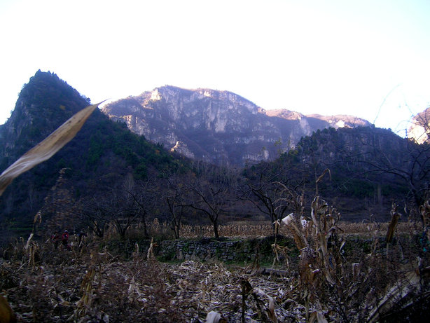 68.jpg