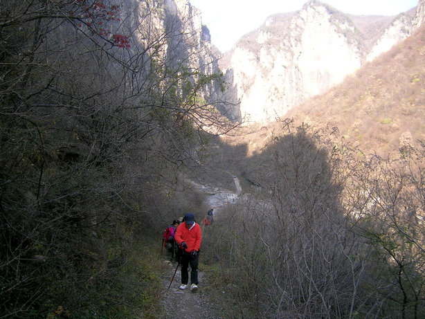 79.jpg