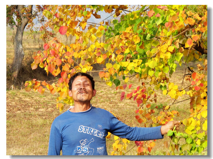 201111112 096.jpg