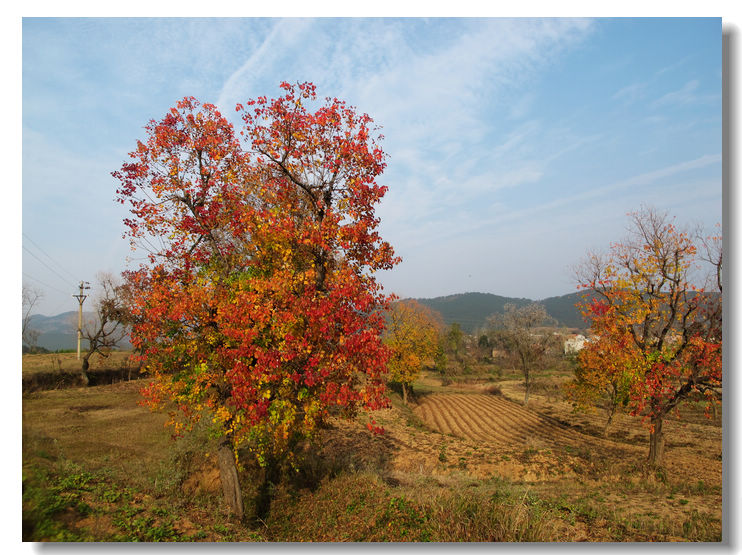 201111112 099.jpg