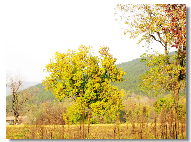 201111112 121.jpg