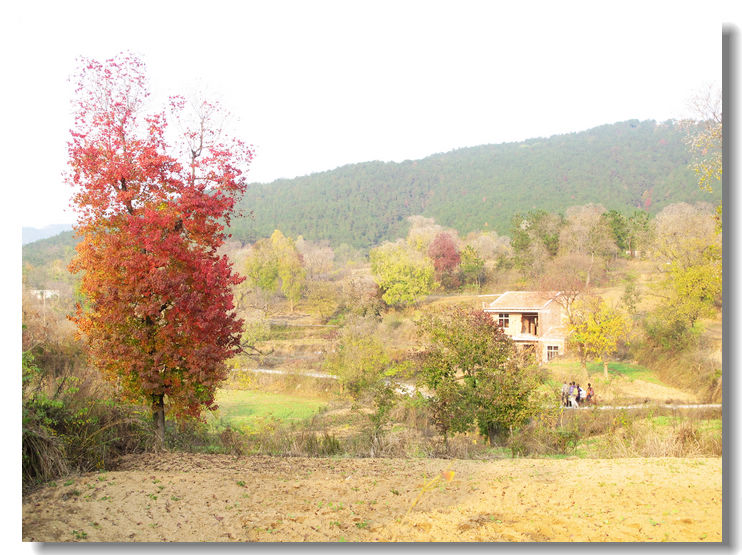 201111112 123.jpg