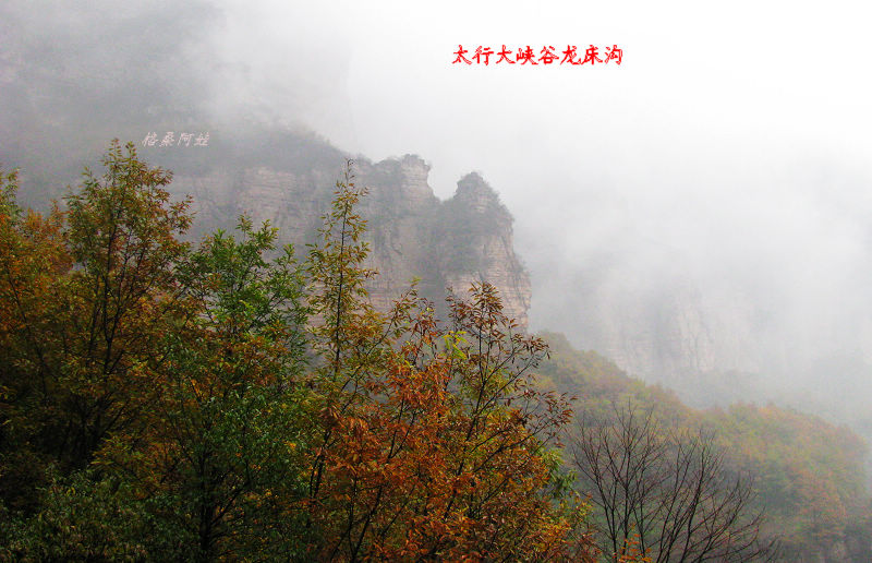 2011ʯҴϿ 146-1.jpg