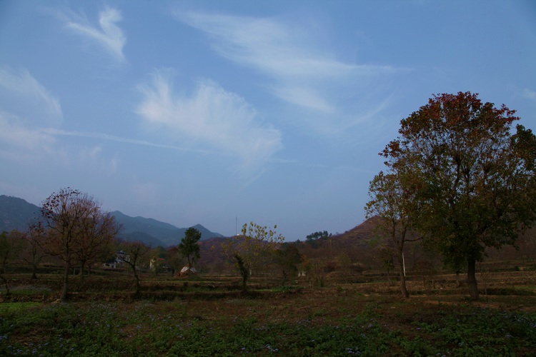 img_2665.jpg