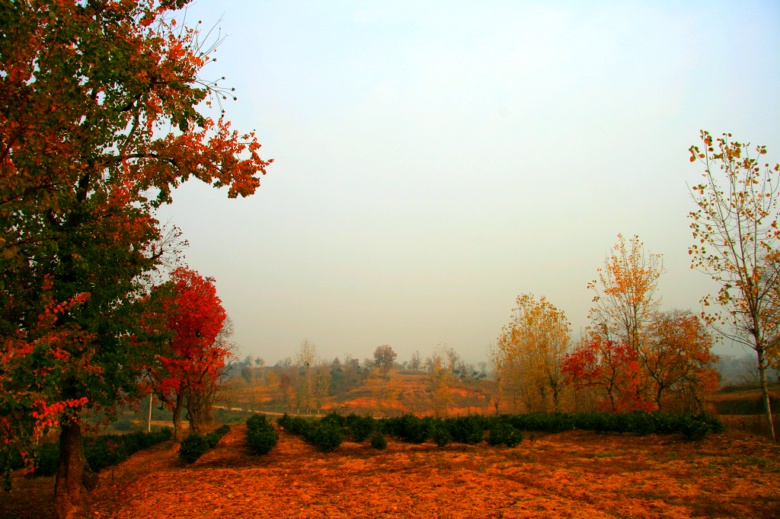 Ҷ1 009.jpg