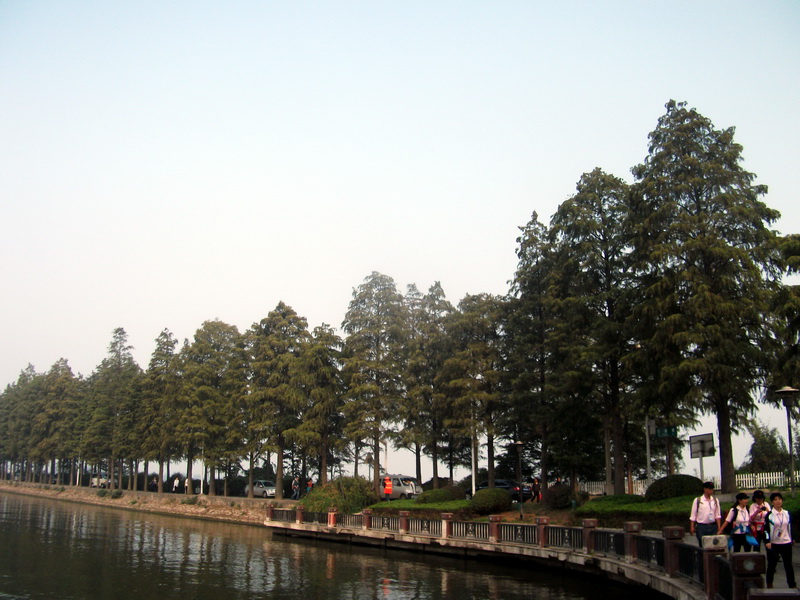 dscf0154.jpg