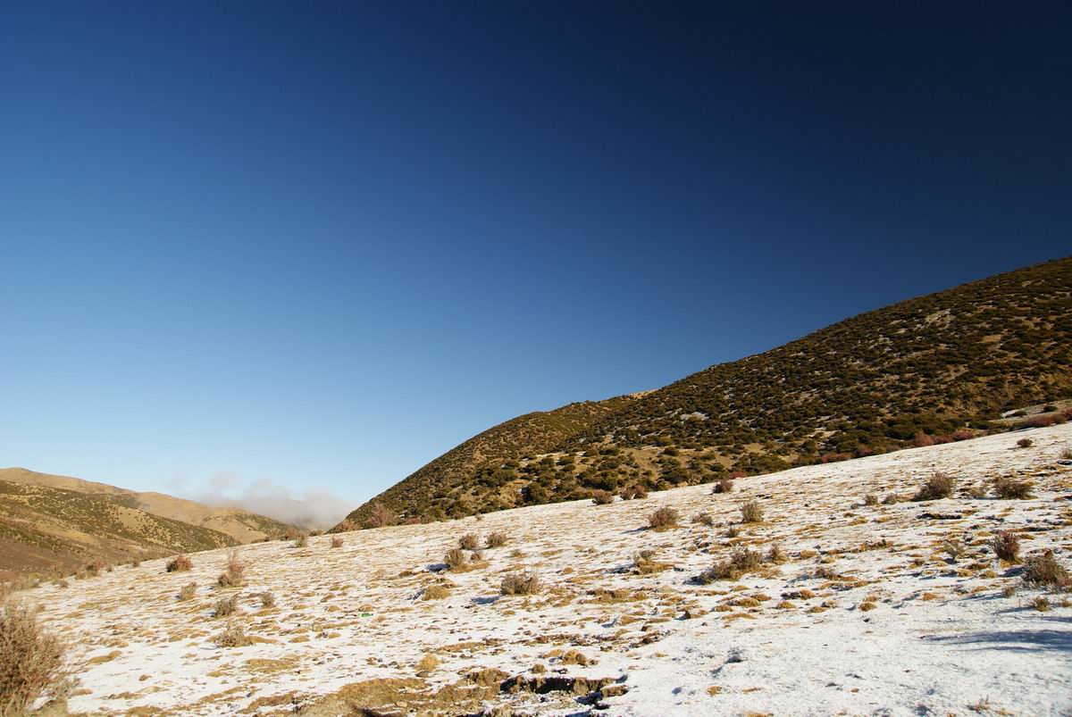 neo_img_dsc01076.jpg