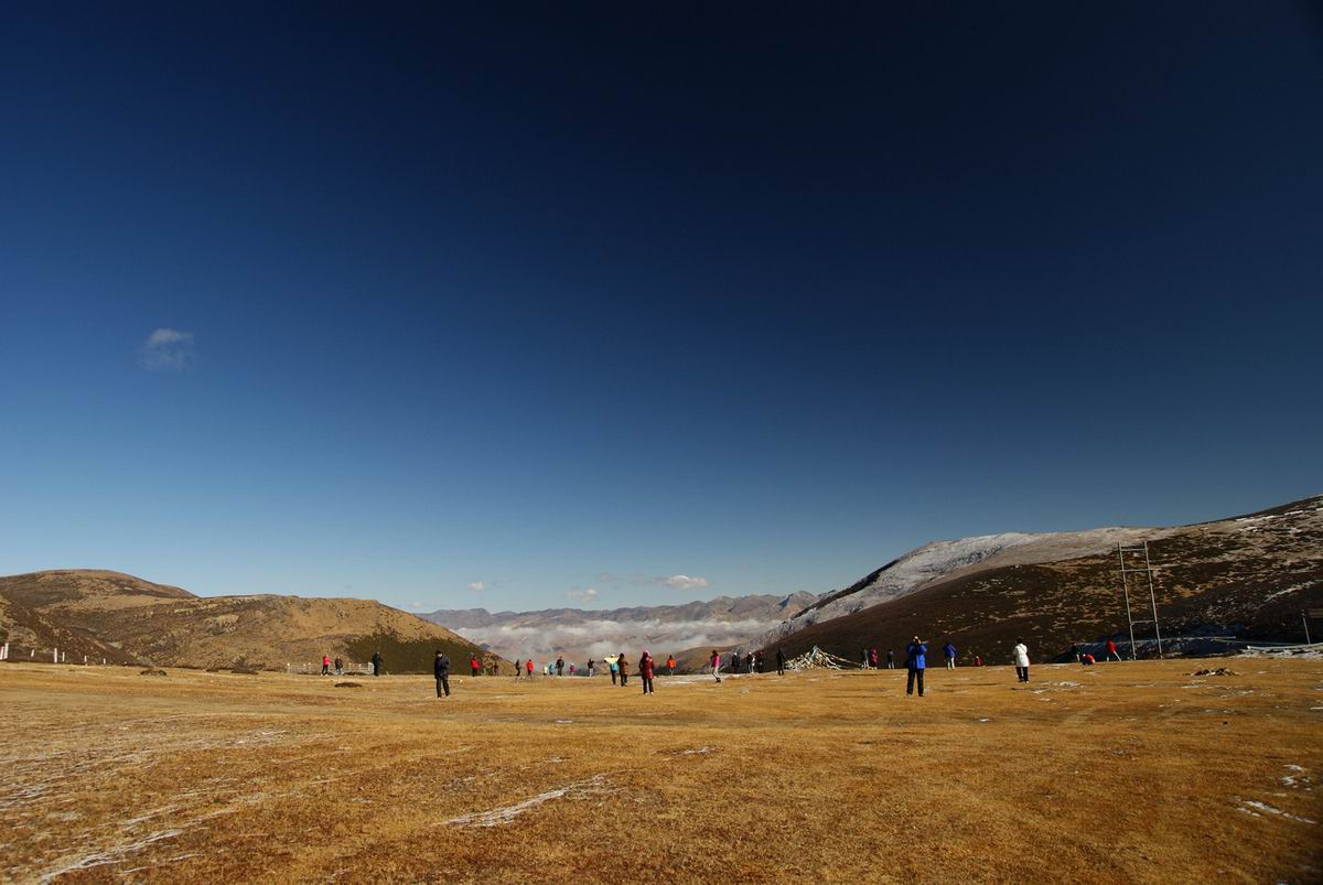 neo_img_dsc01089.jpg
