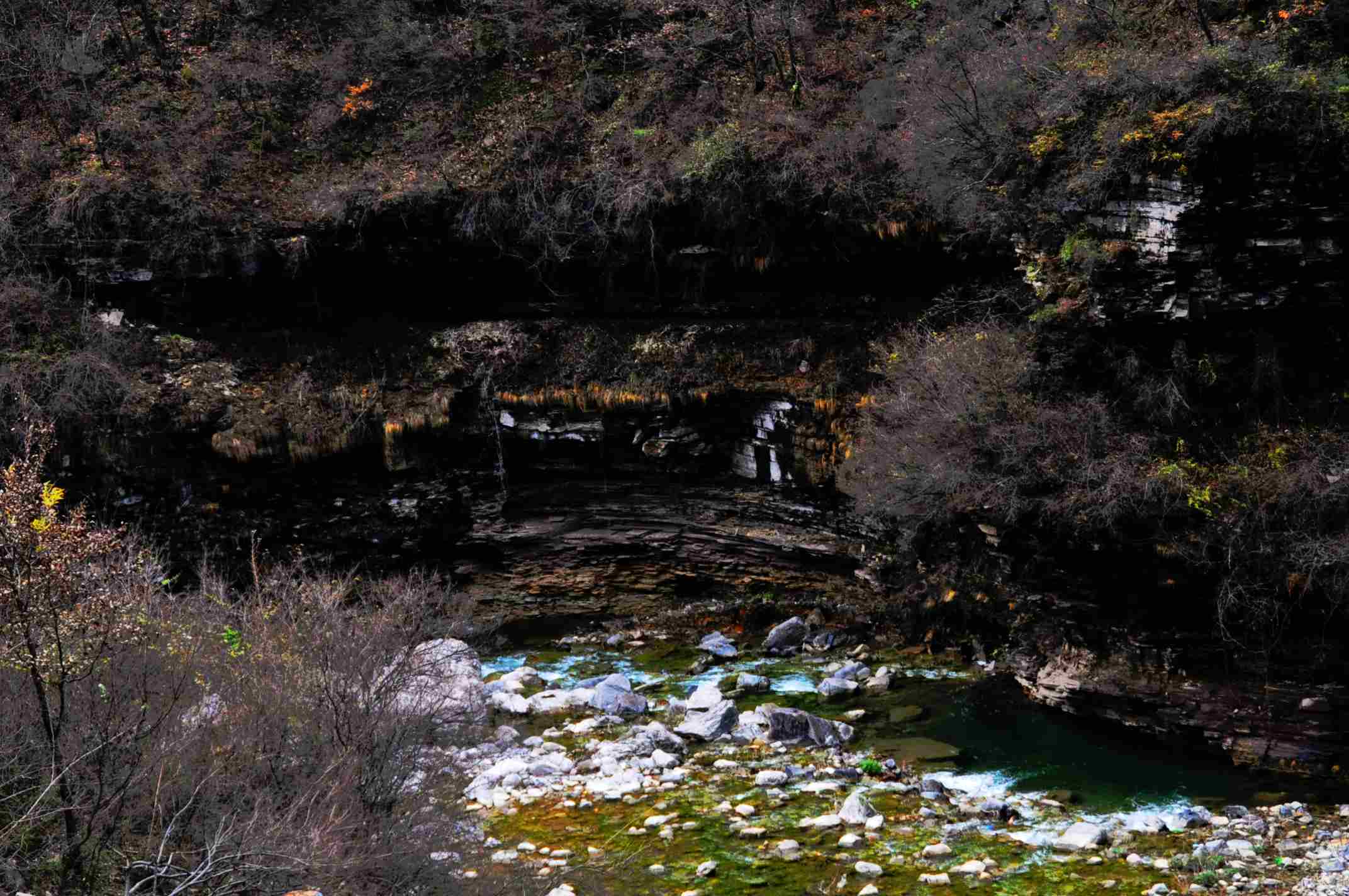dsc_0437.jpg