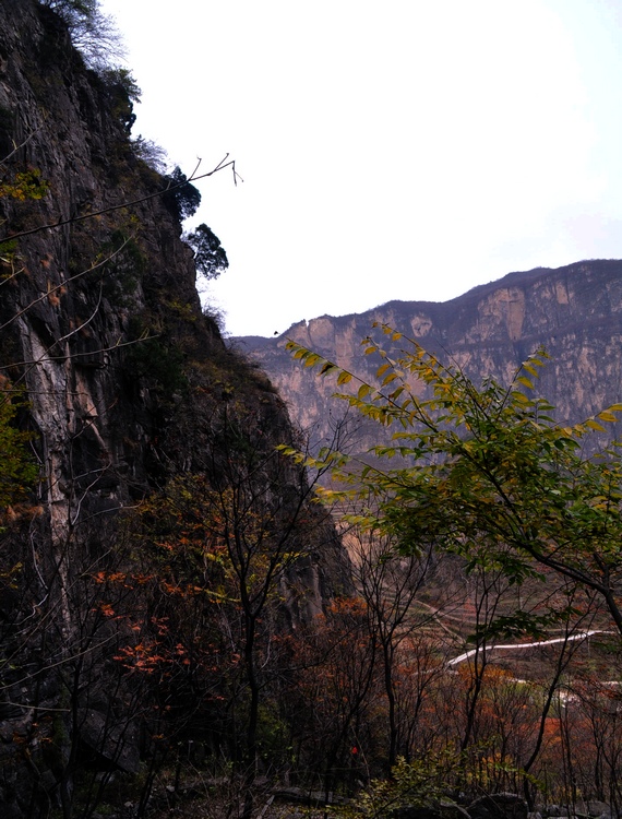 dsc_0528.jpg