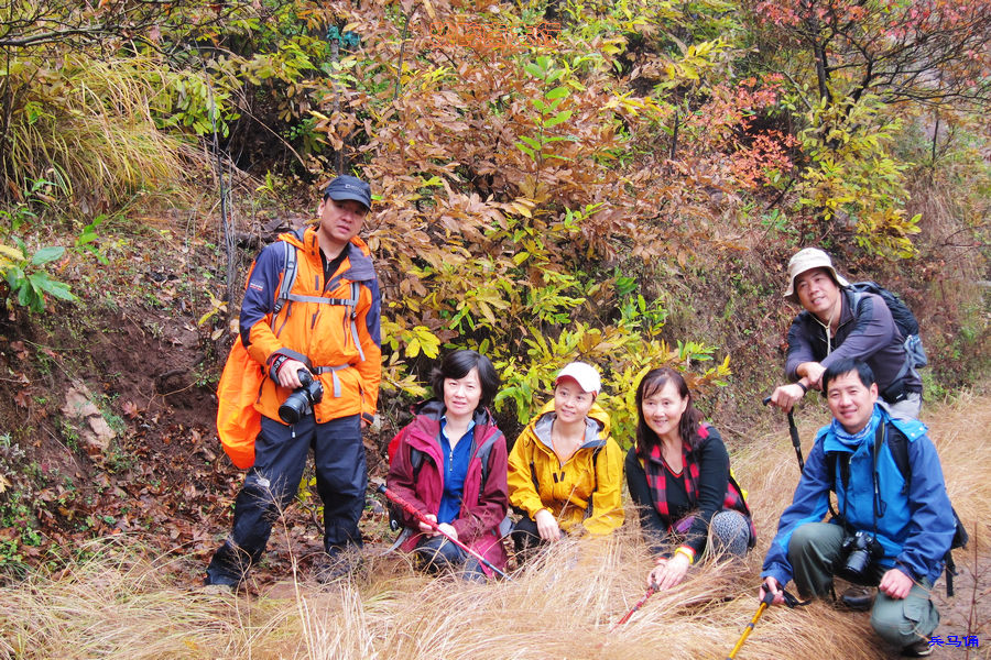 201111811424866351-cherry-8.jpg