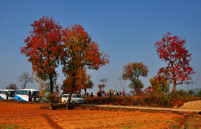dsc_0081_.jpg