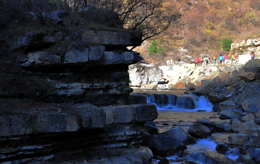 dsc_0884.jpg