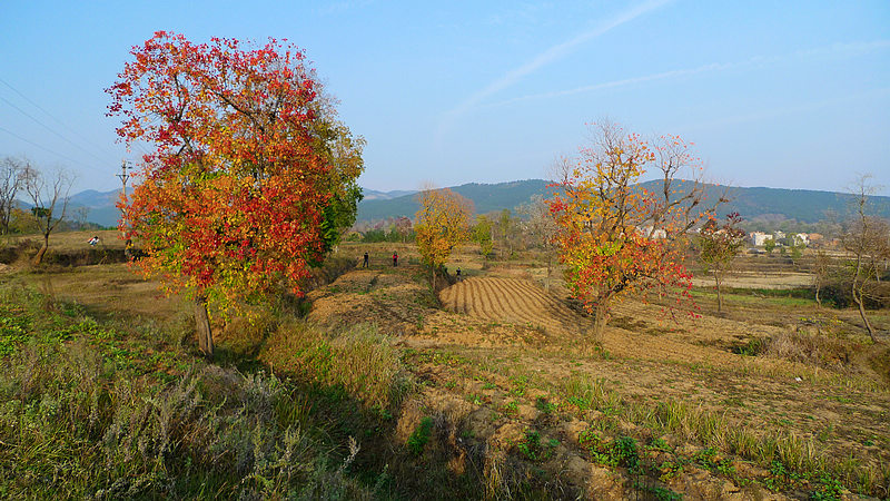 p1120720.jpg