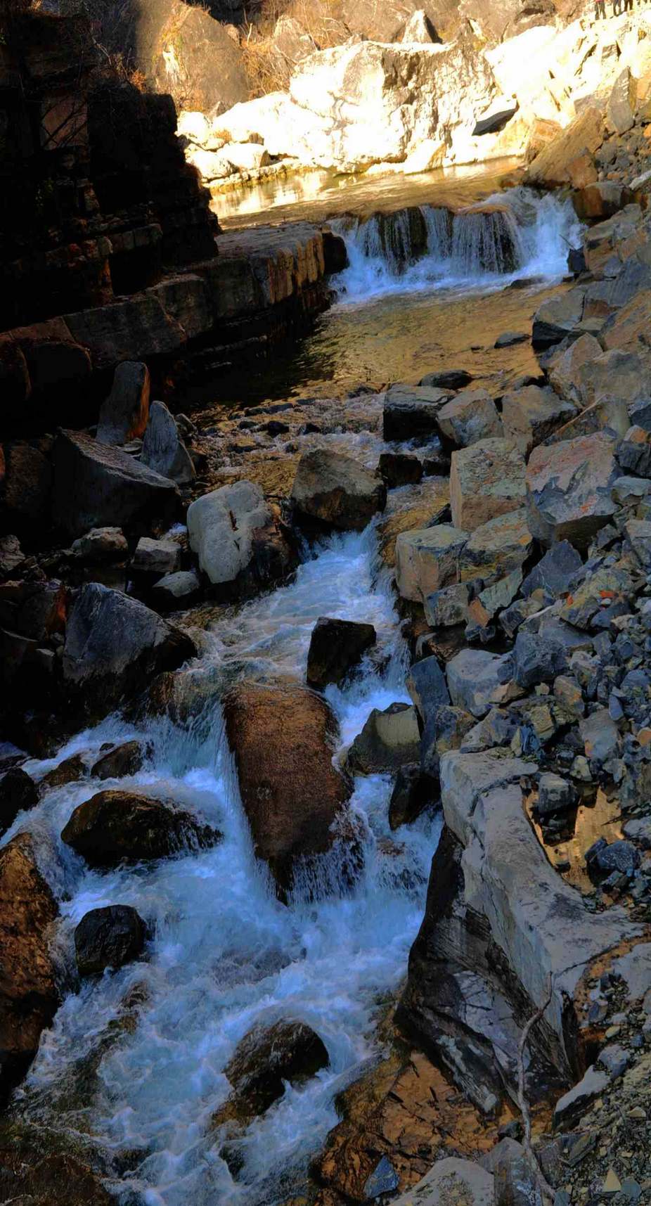dsc_0889.jpg