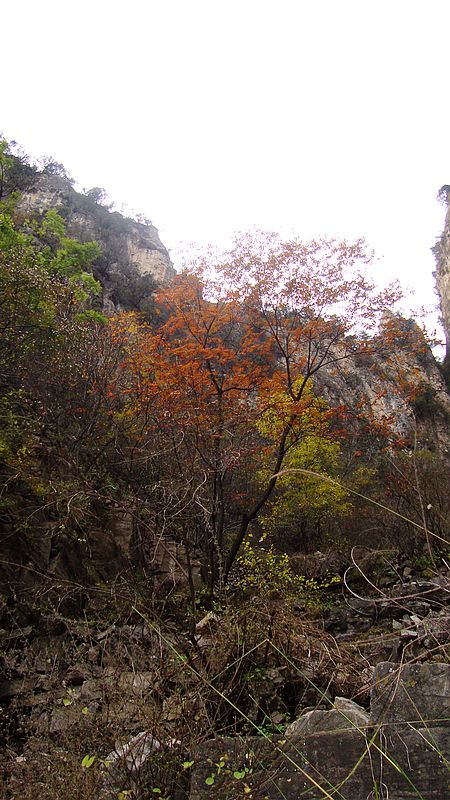 dsc03957.jpg