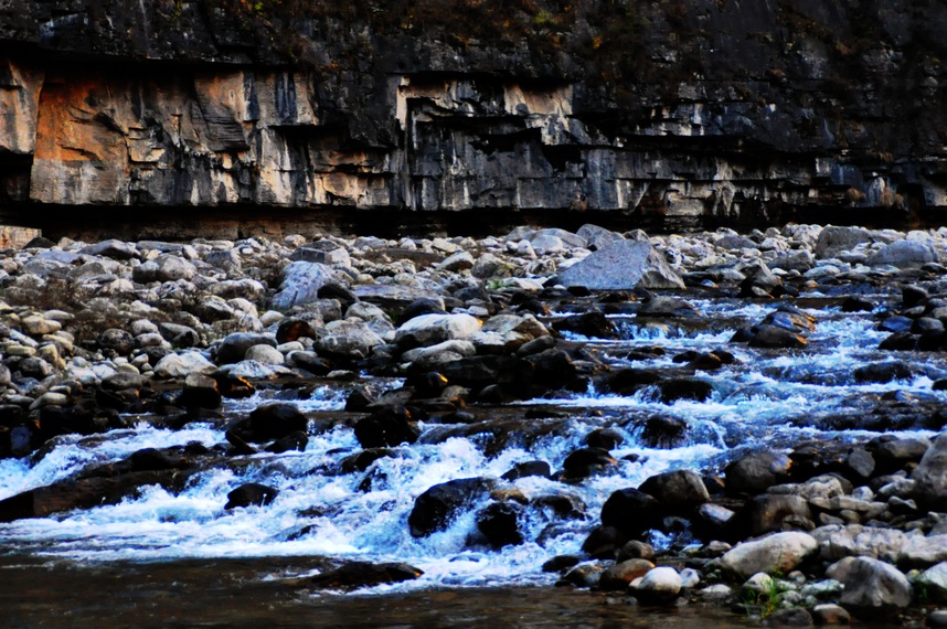 dsc_0967.jpg
