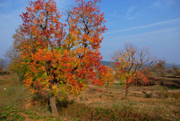 dsc_0288.jpg