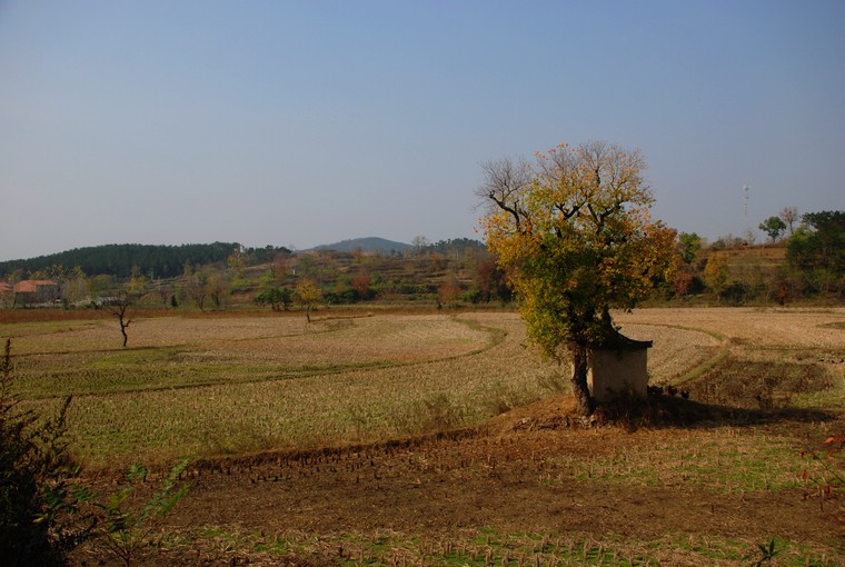 dsc_0270.jpg