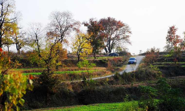 dsc_0343.jpg