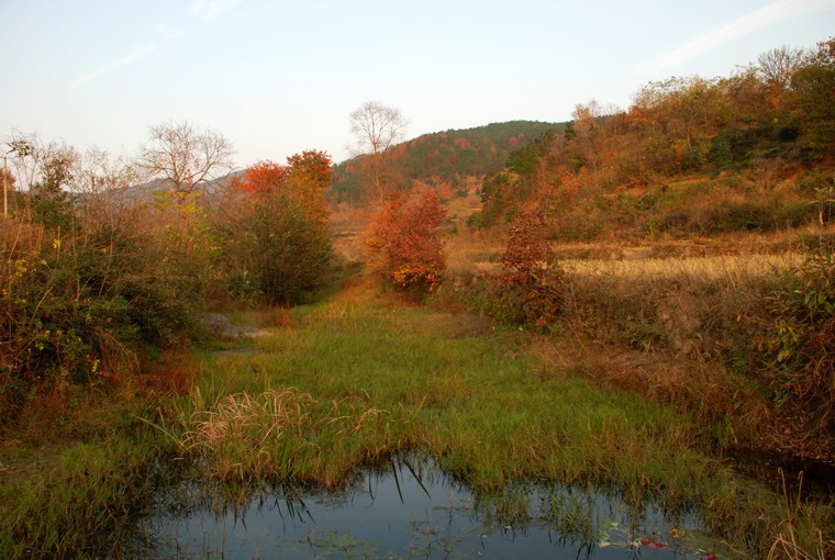 dsc_0354.jpg