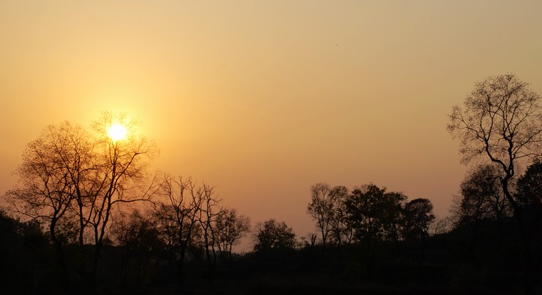 dsc_0373.jpg