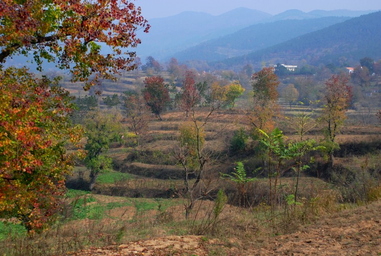 dsc_0203.jpg
