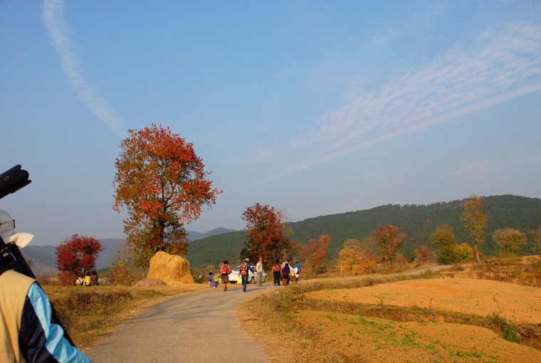 dsc_0328.jpg