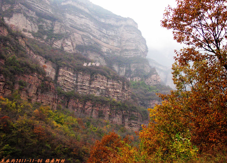 2011ʯҴϿ 1839-1.jpg